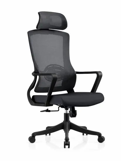 New Arrival Modern Style Lift Swivel Ergonomic Sihoo V1 Computer High Back Comfortable Mesh Executive Office Chair