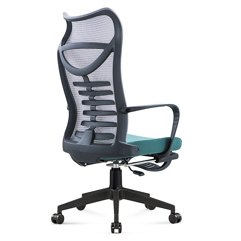 High Back Ergohuman Executive Black Full Mesh Swivel Desk Office Chairs with Footrest